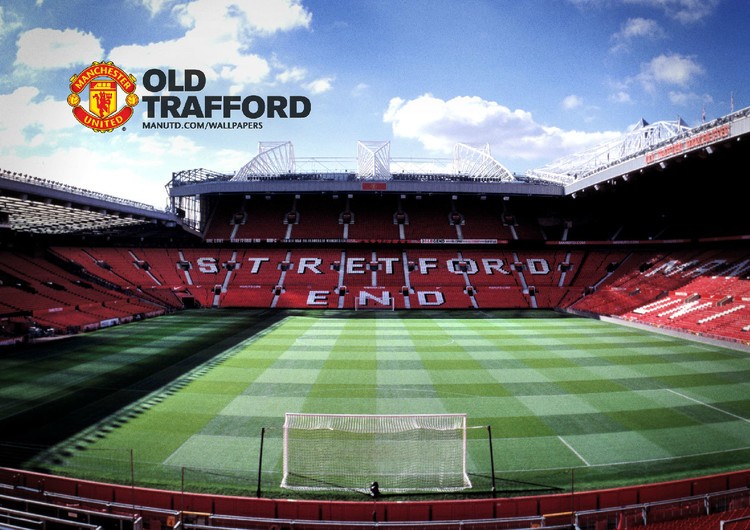 将有专属导 将有专属导