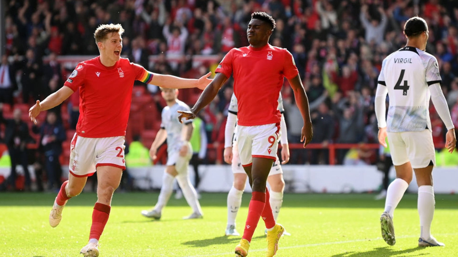 所见证的 所见证的