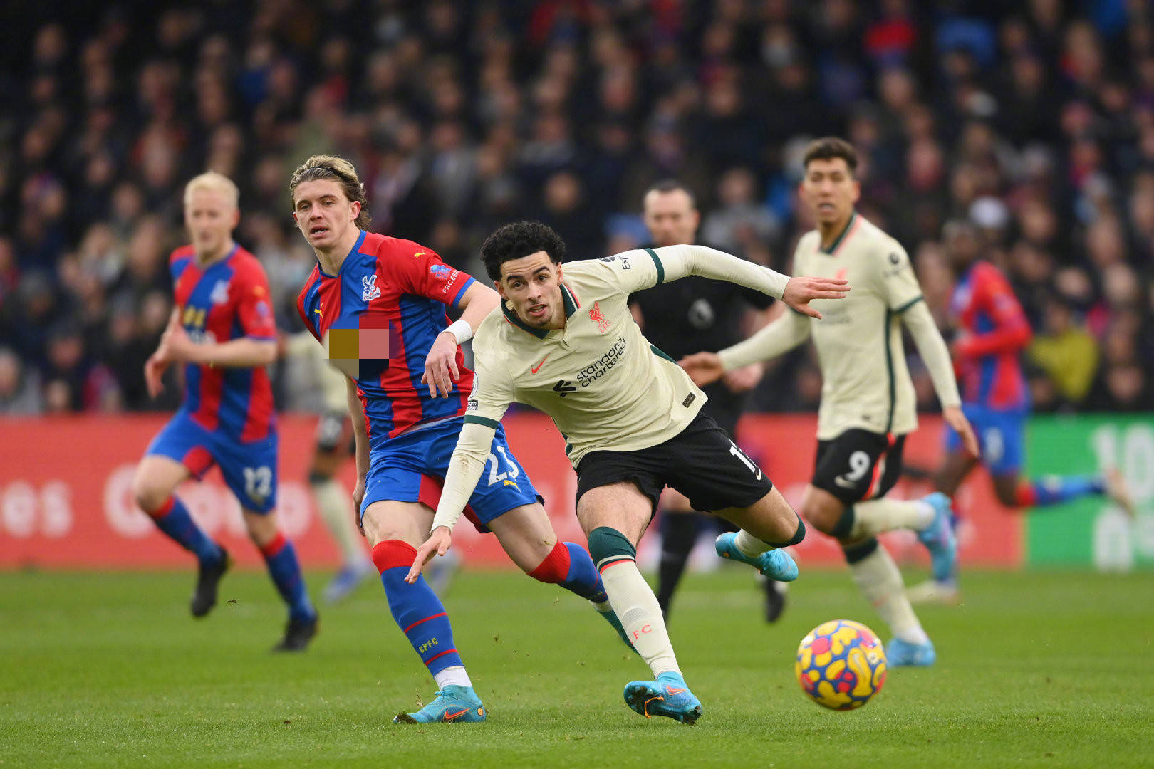 共同会诊 共同会诊